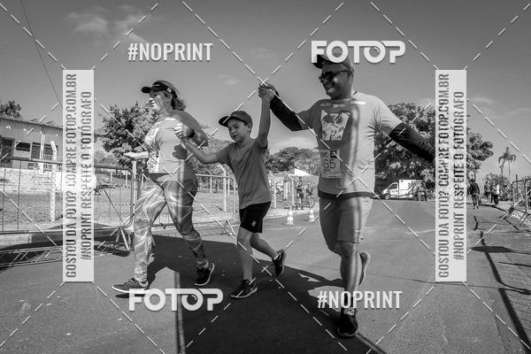 Buy your photos of the eventWolf Series - Botucatu on Fotop