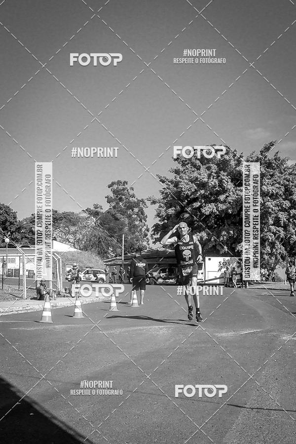 Buy your photos of the eventWolf Series - Botucatu on Fotop