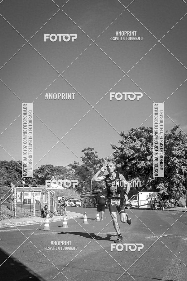 Buy your photos of the eventWolf Series - Botucatu on Fotop