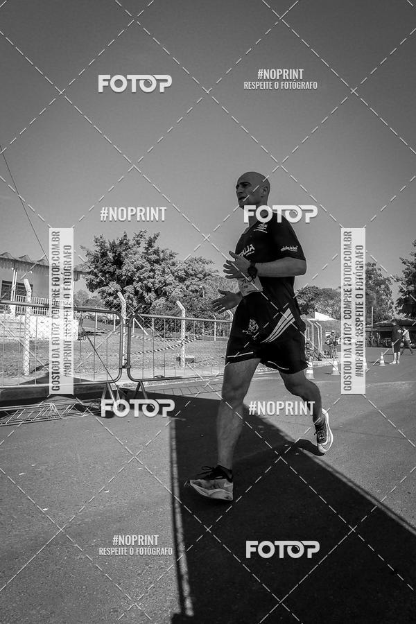 Buy your photos of the eventWolf Series - Botucatu on Fotop