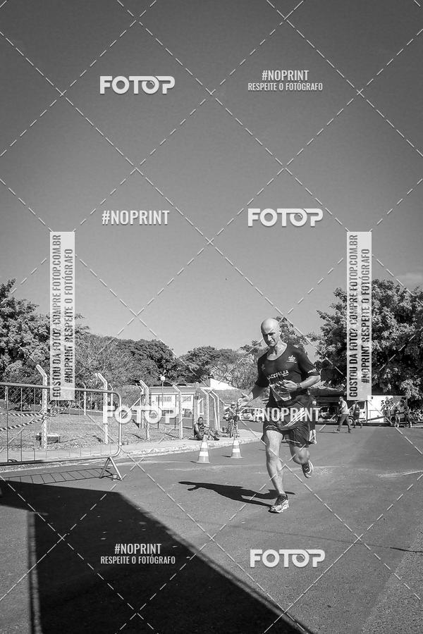 Buy your photos of the eventWolf Series - Botucatu on Fotop