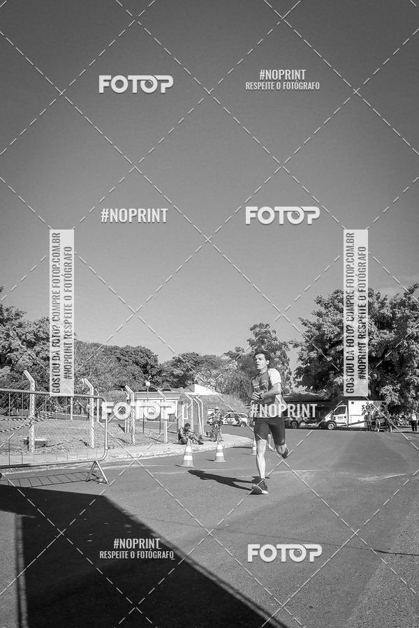 Buy your photos of the eventWolf Series - Botucatu on Fotop