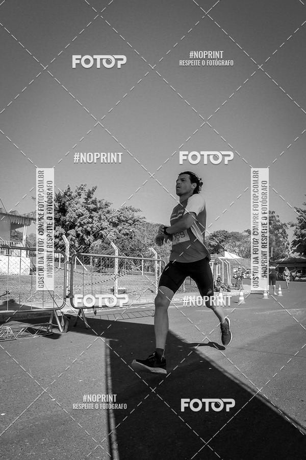 Buy your photos of the eventWolf Series - Botucatu on Fotop