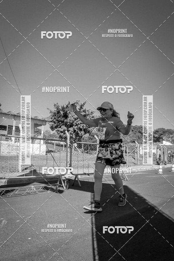 Buy your photos of the eventWolf Series - Botucatu on Fotop