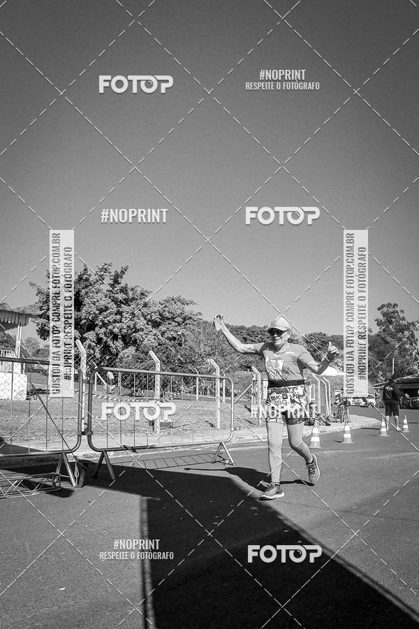 Buy your photos of the eventWolf Series - Botucatu on Fotop