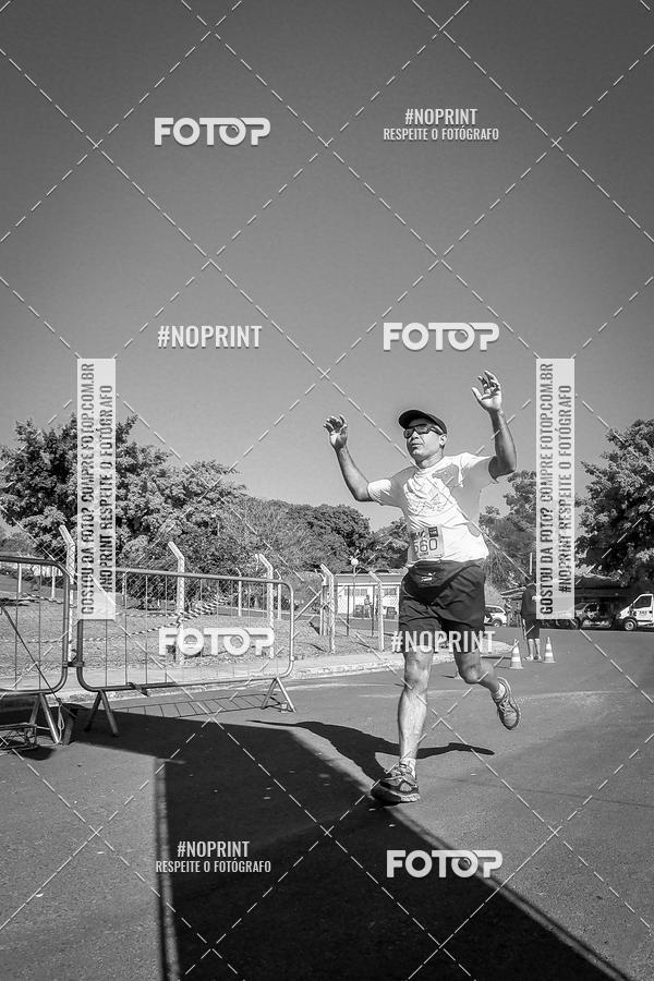 Buy your photos of the eventWolf Series - Botucatu on Fotop