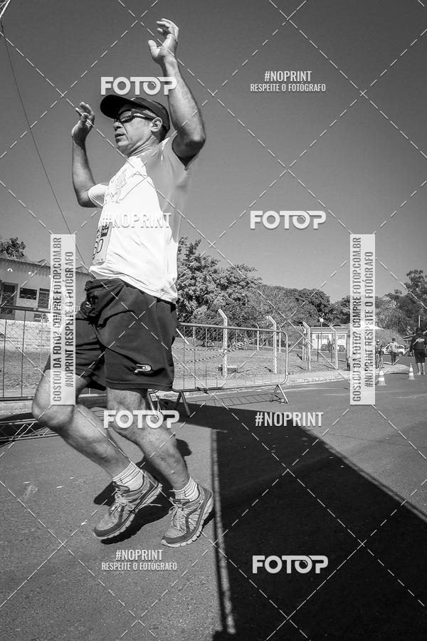 Buy your photos of the eventWolf Series - Botucatu on Fotop