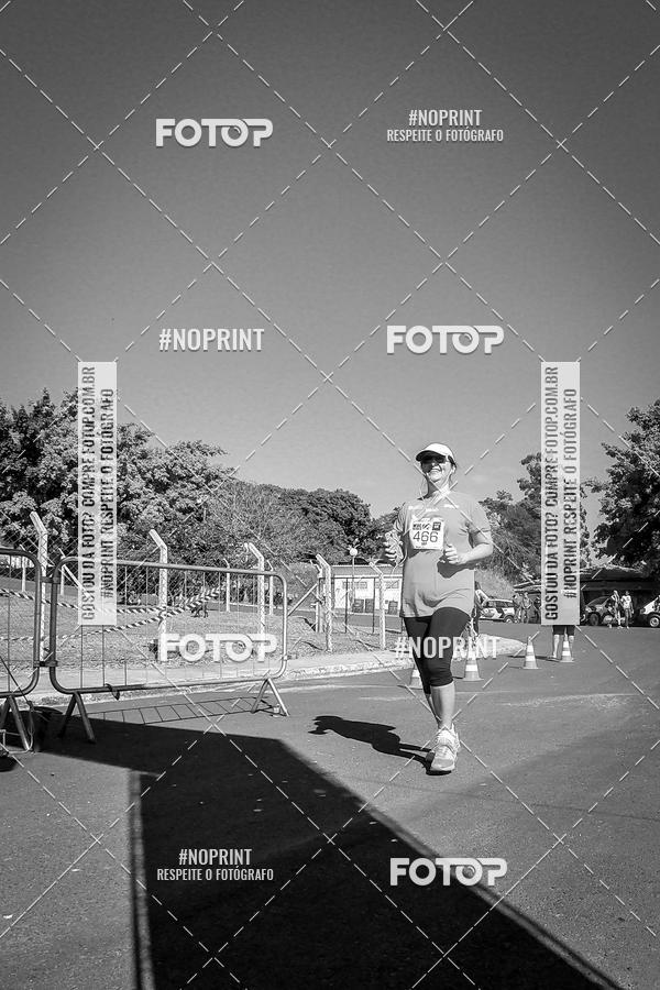 Buy your photos of the eventWolf Series - Botucatu on Fotop