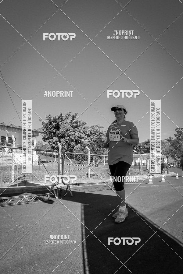 Buy your photos of the eventWolf Series - Botucatu on Fotop