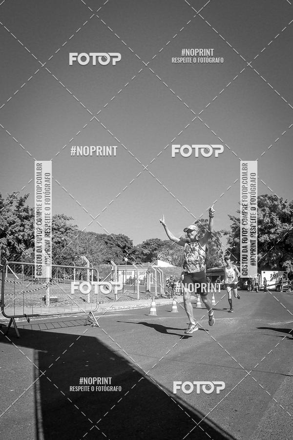 Buy your photos of the eventWolf Series - Botucatu on Fotop