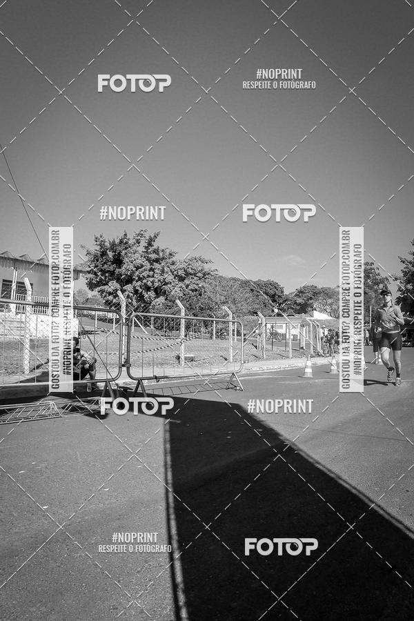 Buy your photos of the eventWolf Series - Botucatu on Fotop