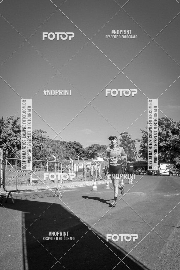 Buy your photos of the eventWolf Series - Botucatu on Fotop