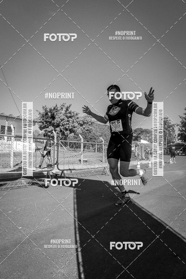 Buy your photos of the eventWolf Series - Botucatu on Fotop