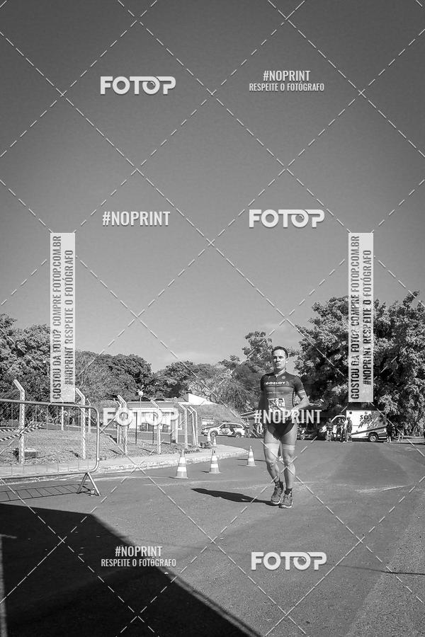 Buy your photos of the eventWolf Series - Botucatu on Fotop