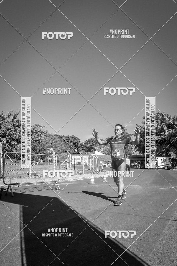 Buy your photos of the eventWolf Series - Botucatu on Fotop