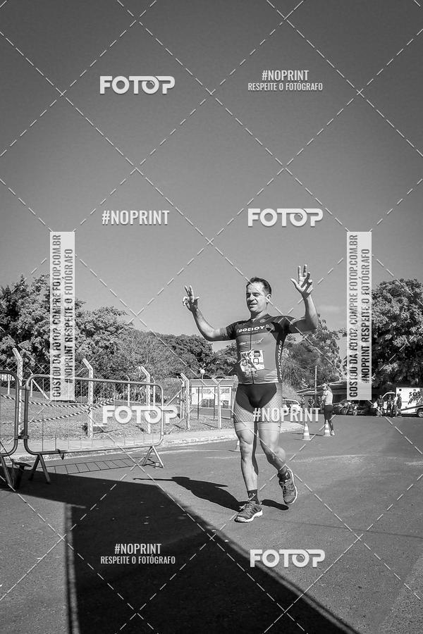 Buy your photos of the eventWolf Series - Botucatu on Fotop