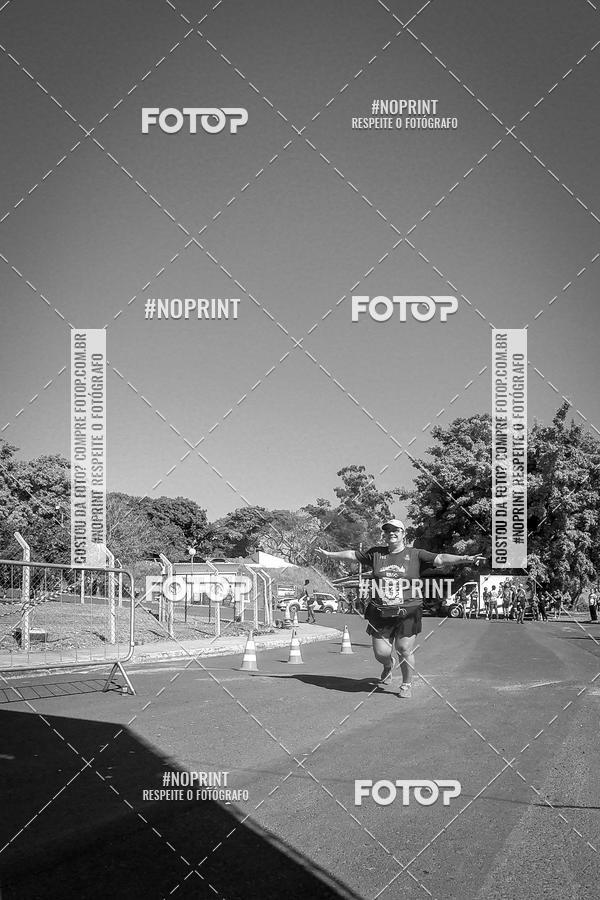 Buy your photos of the eventWolf Series - Botucatu on Fotop