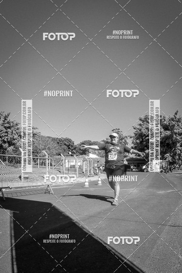 Buy your photos of the eventWolf Series - Botucatu on Fotop