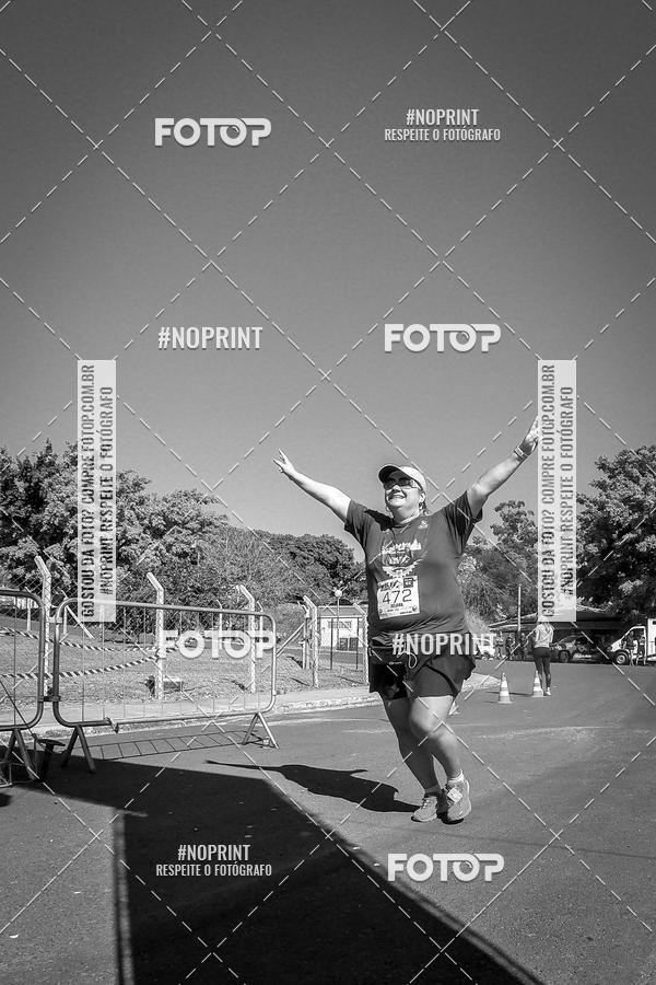 Buy your photos of the eventWolf Series - Botucatu on Fotop