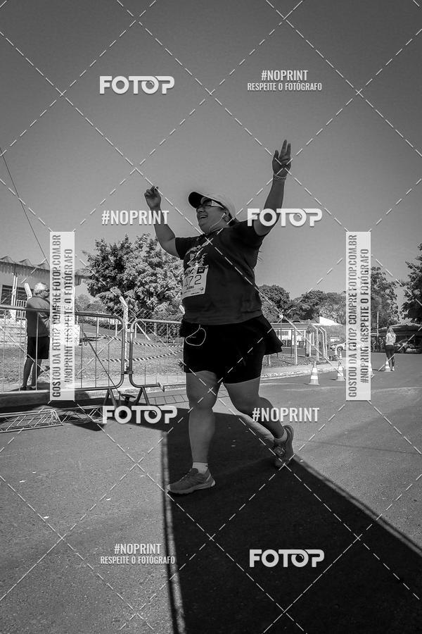 Buy your photos of the eventWolf Series - Botucatu on Fotop