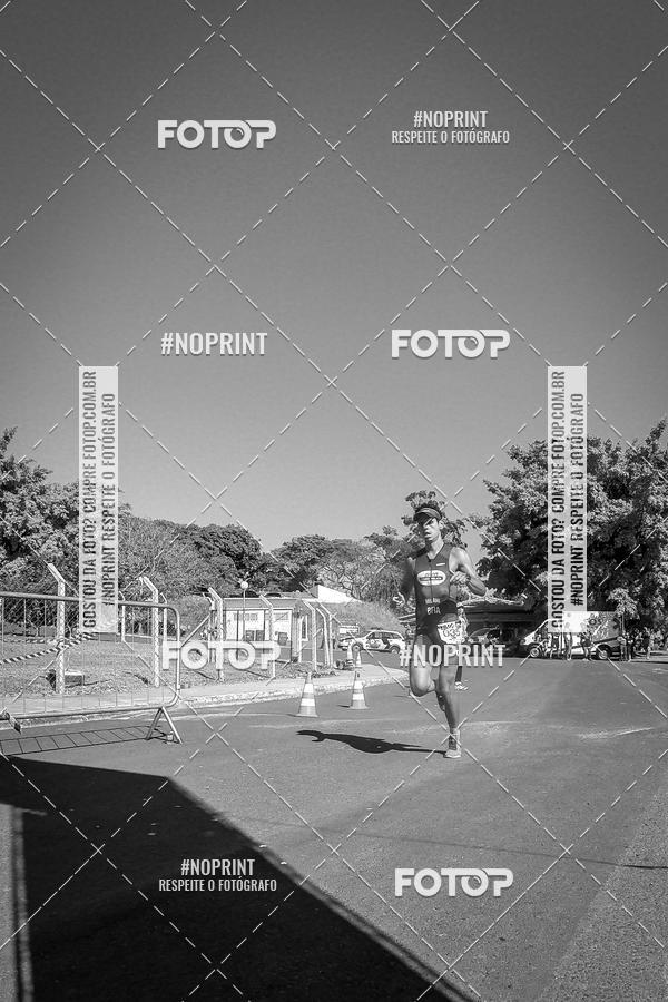 Buy your photos of the eventWolf Series - Botucatu on Fotop