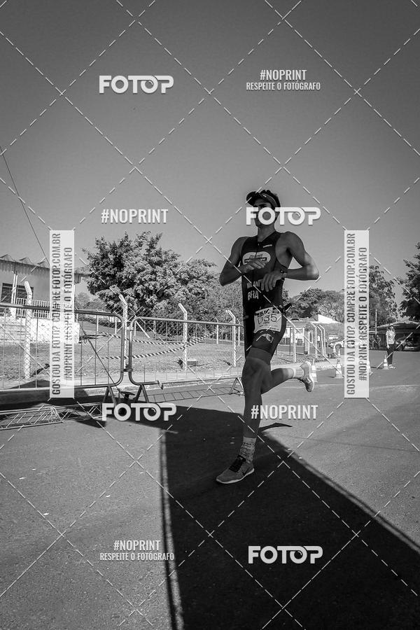 Buy your photos of the eventWolf Series - Botucatu on Fotop