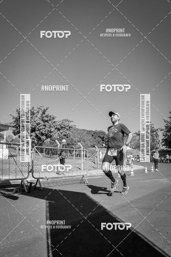 Buy your photos of the eventWolf Series - Botucatu on Fotop