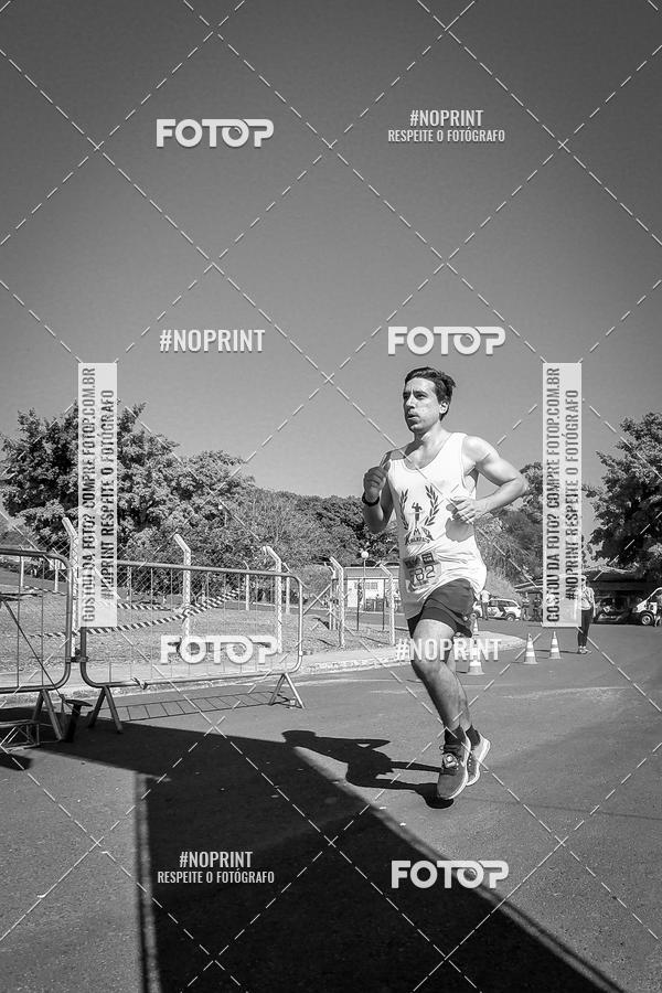 Buy your photos of the eventWolf Series - Botucatu on Fotop