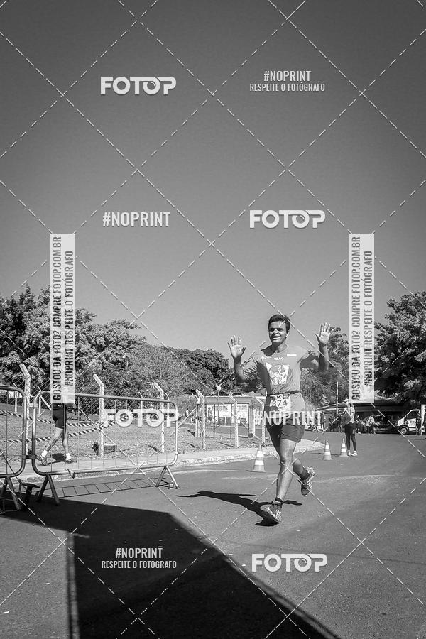 Buy your photos of the eventWolf Series - Botucatu on Fotop