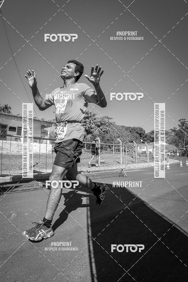 Buy your photos of the eventWolf Series - Botucatu on Fotop