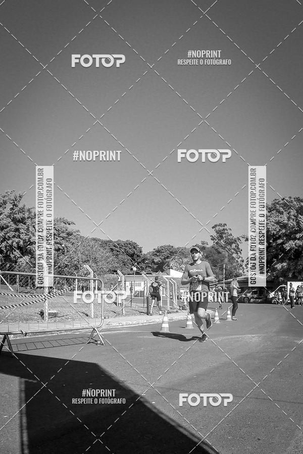 Buy your photos of the eventWolf Series - Botucatu on Fotop