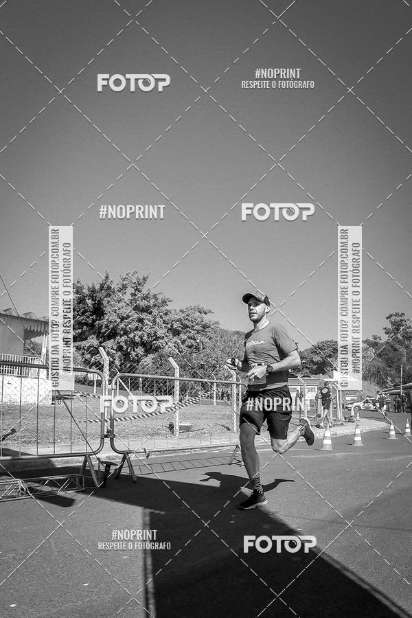 Buy your photos of the eventWolf Series - Botucatu on Fotop