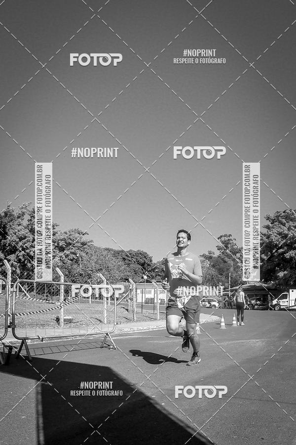 Buy your photos of the eventWolf Series - Botucatu on Fotop