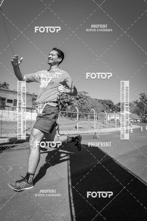 Buy your photos of the eventWolf Series - Botucatu on Fotop