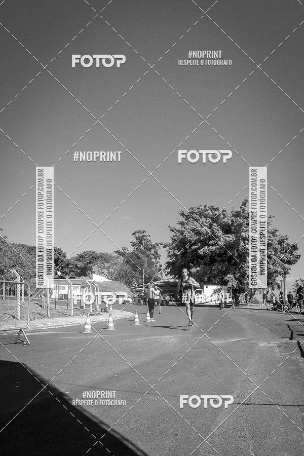 Buy your photos of the eventWolf Series - Botucatu on Fotop