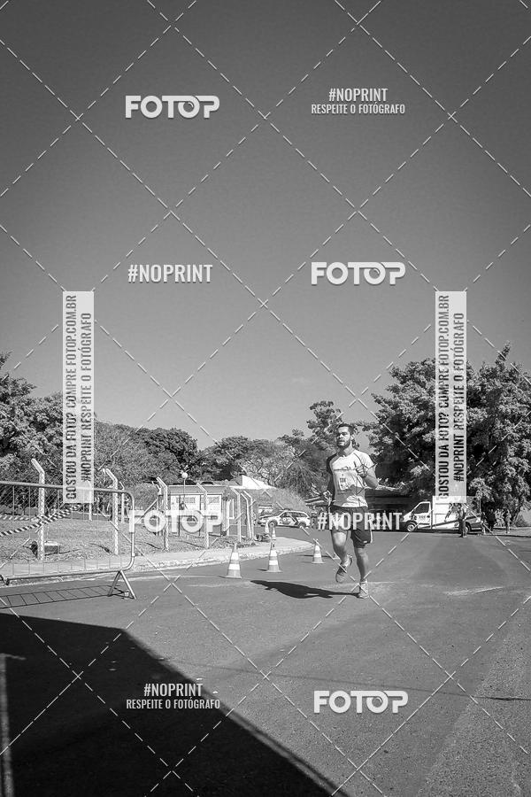 Buy your photos of the eventWolf Series - Botucatu on Fotop