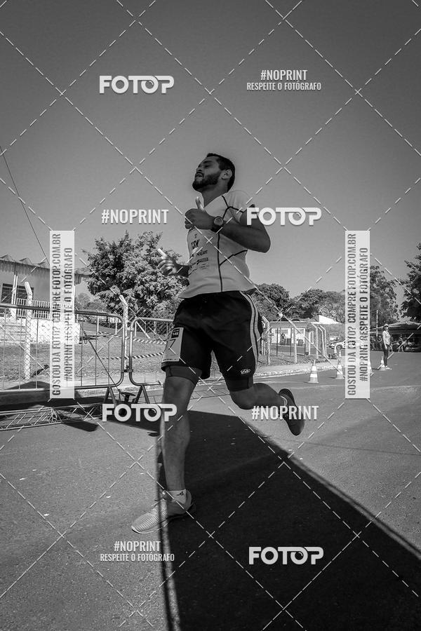 Buy your photos of the eventWolf Series - Botucatu on Fotop