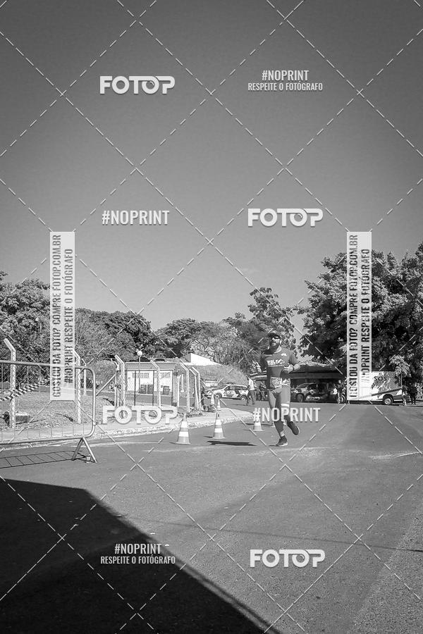 Buy your photos of the eventWolf Series - Botucatu on Fotop