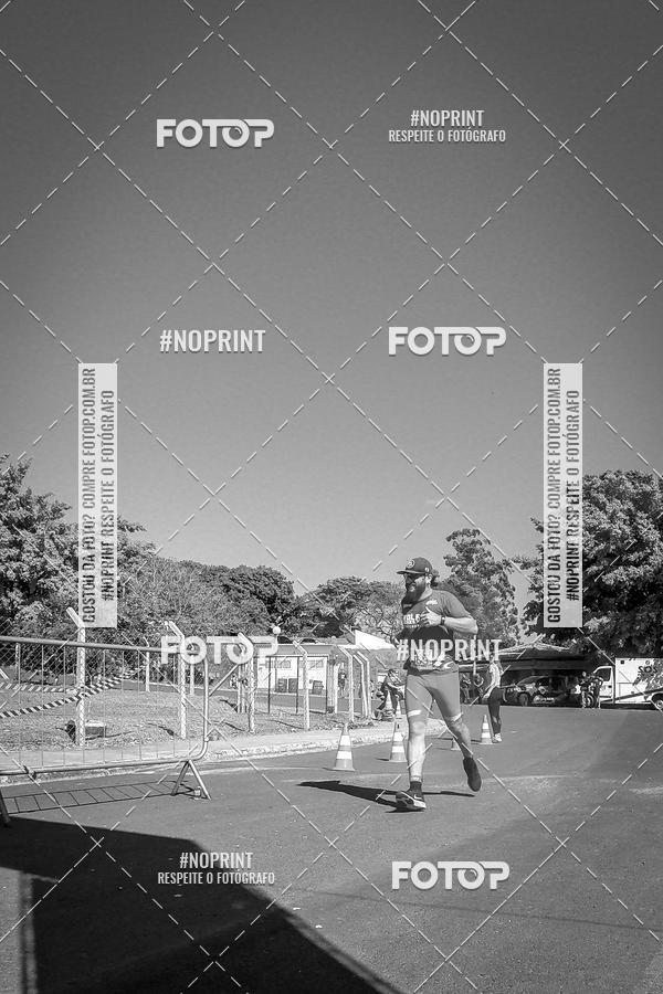 Buy your photos of the eventWolf Series - Botucatu on Fotop