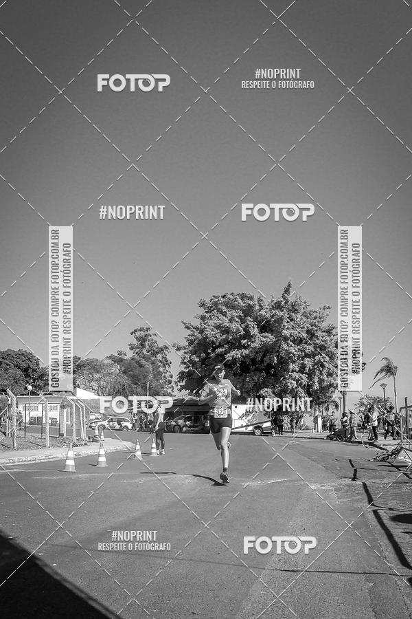 Buy your photos of the eventWolf Series - Botucatu on Fotop