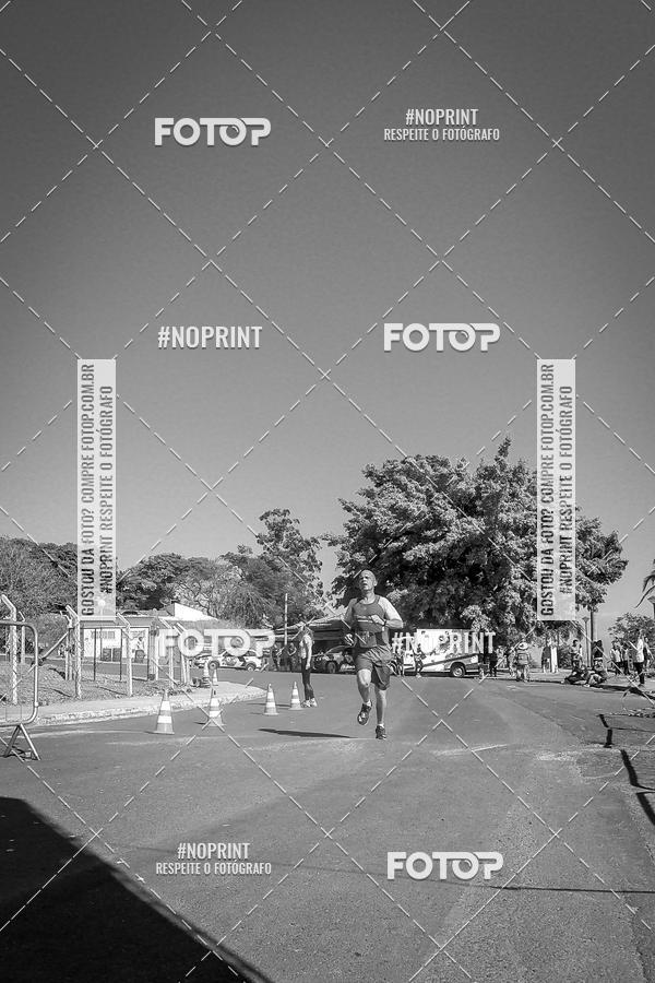 Buy your photos of the eventWolf Series - Botucatu on Fotop