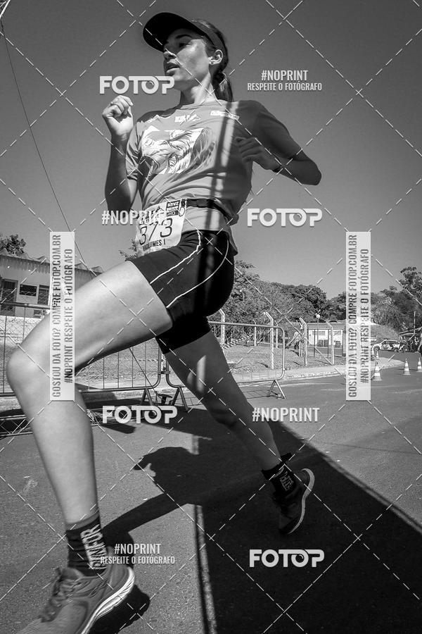 Buy your photos of the eventWolf Series - Botucatu on Fotop