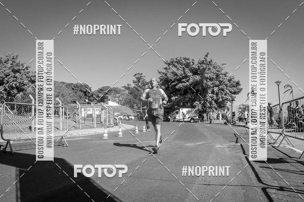 Buy your photos of the eventWolf Series - Botucatu on Fotop