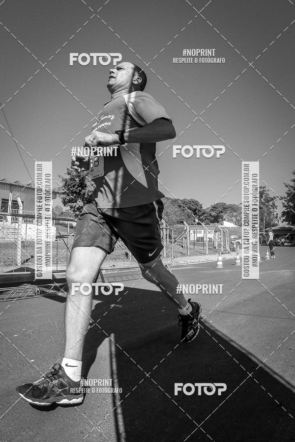 Buy your photos of the eventWolf Series - Botucatu on Fotop