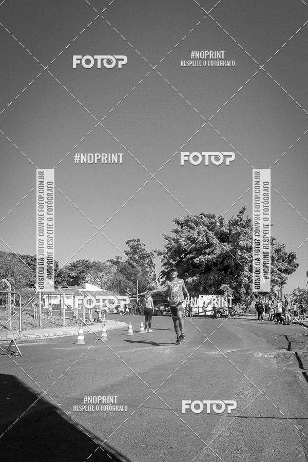 Buy your photos of the eventWolf Series - Botucatu on Fotop