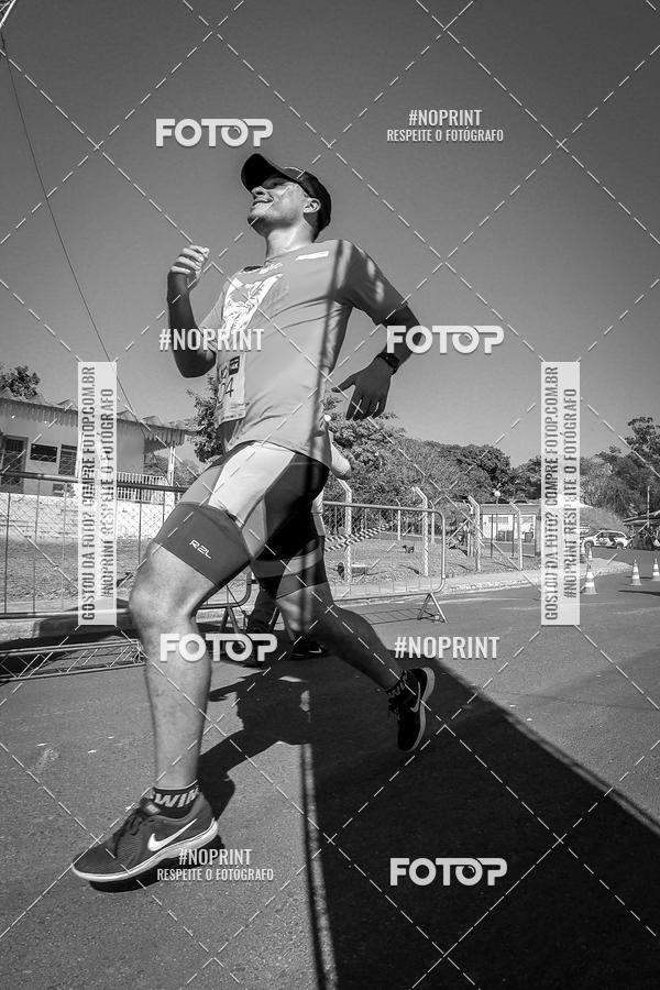 Buy your photos of the eventWolf Series - Botucatu on Fotop