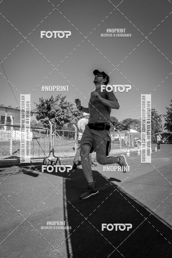 Buy your photos of the eventWolf Series - Botucatu on Fotop