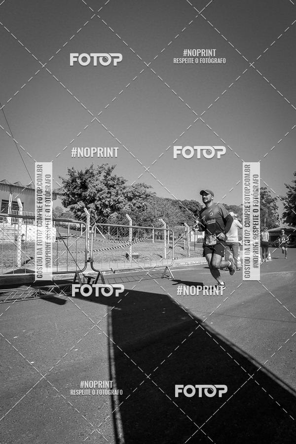 Buy your photos of the eventWolf Series - Botucatu on Fotop