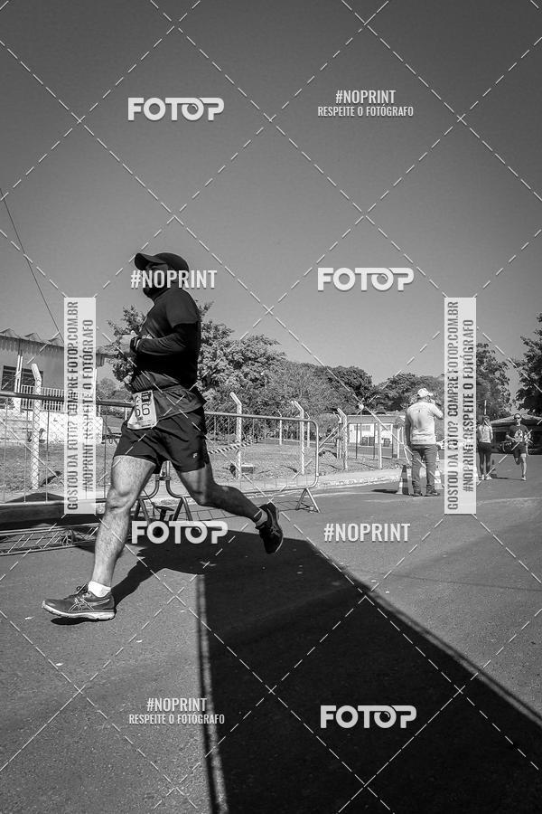 Buy your photos of the eventWolf Series - Botucatu on Fotop