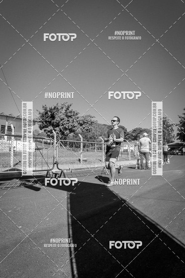 Buy your photos of the eventWolf Series - Botucatu on Fotop